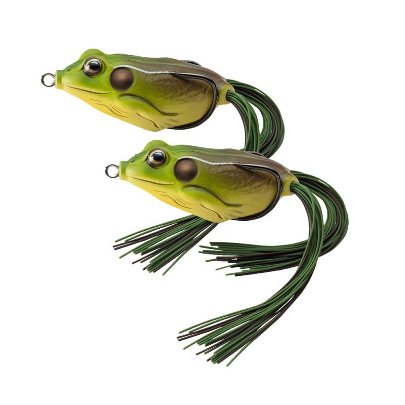 frog body