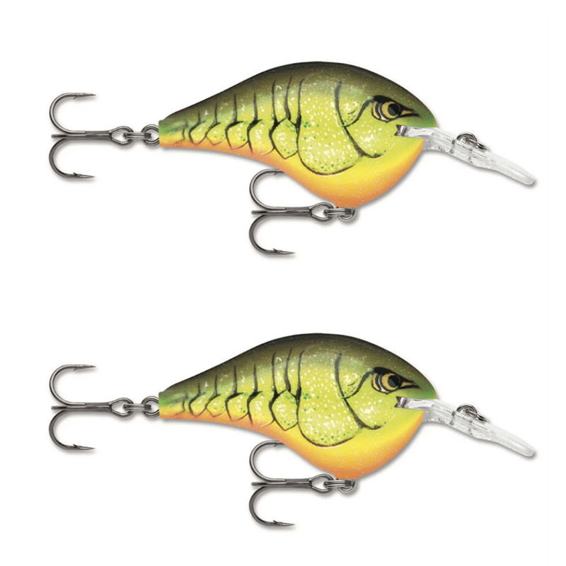 dt6 fishing lure Rapala DT06 Series Crankbaits dive” nose down position allowing for immediate descent to desired depth (DT06 - 5.1cm , Demon)